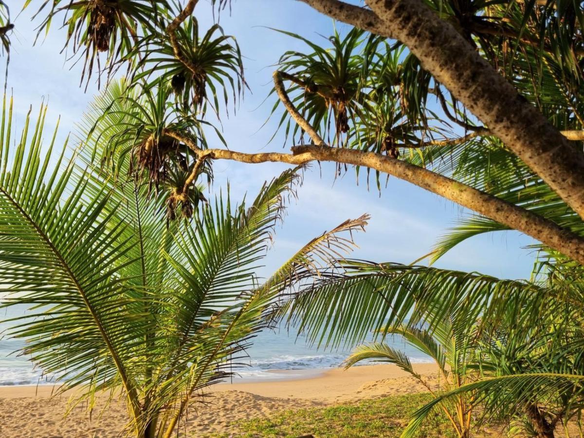 Golden Beach Paradise Тангалла Экстерьер фото