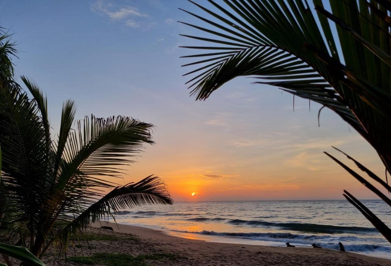 Golden Beach Paradise Тангалла Экстерьер фото